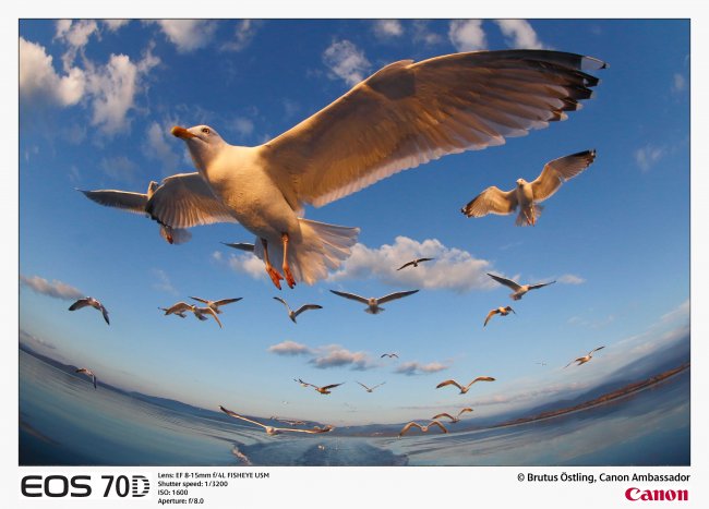 Canon EOS 70D Beispielbild